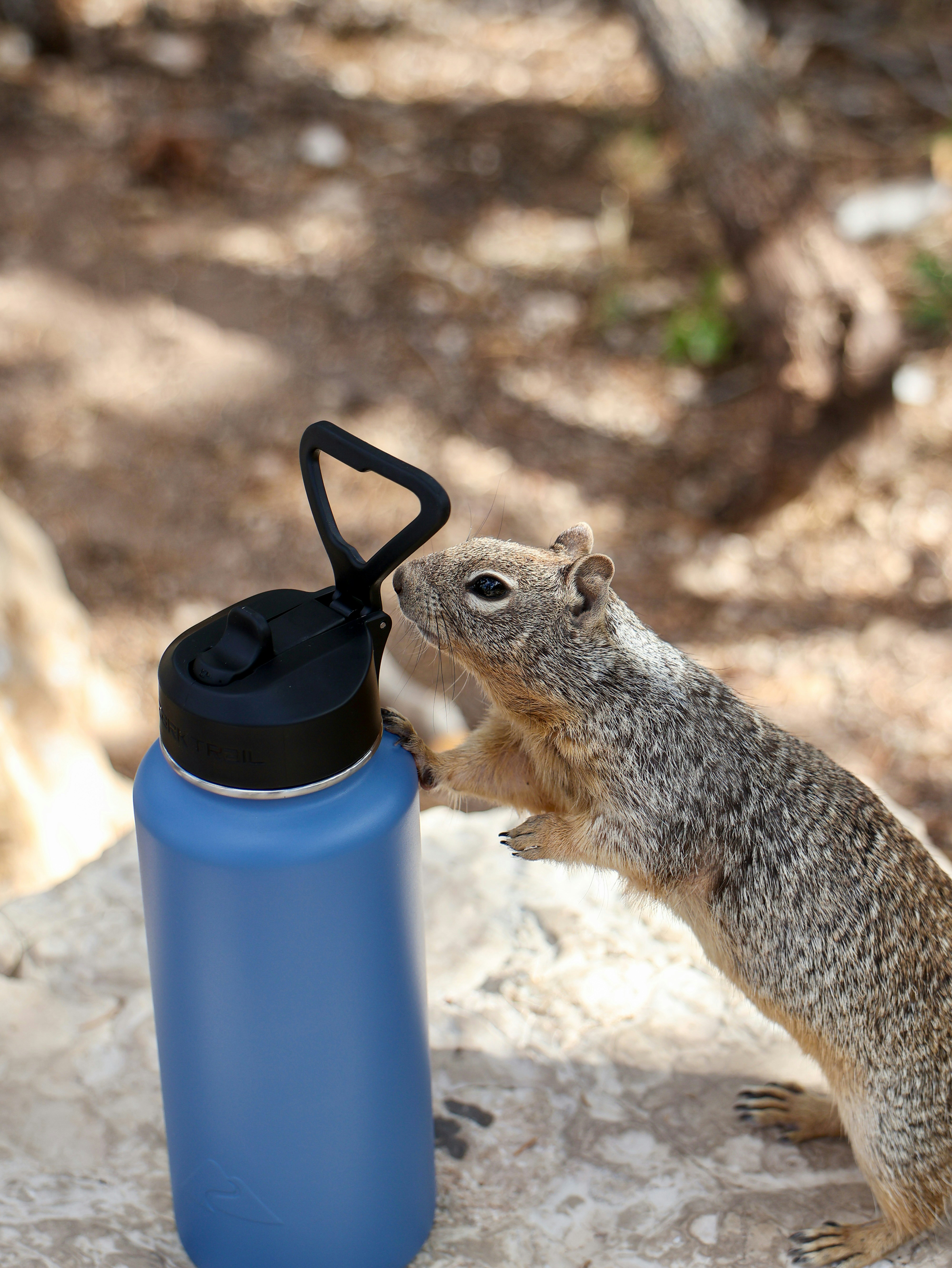 Thermal bottle at canyon
